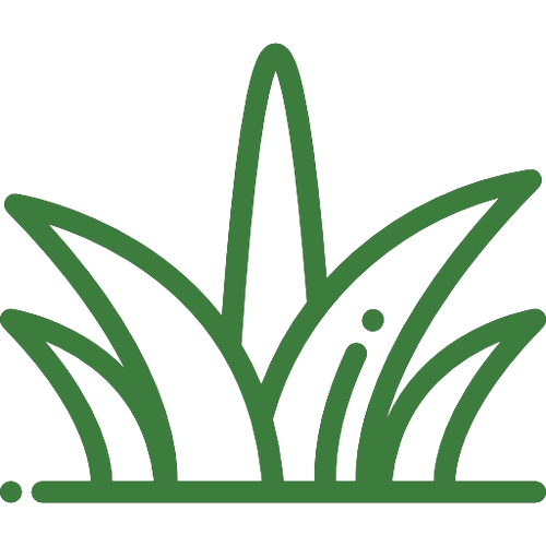 Grass icon